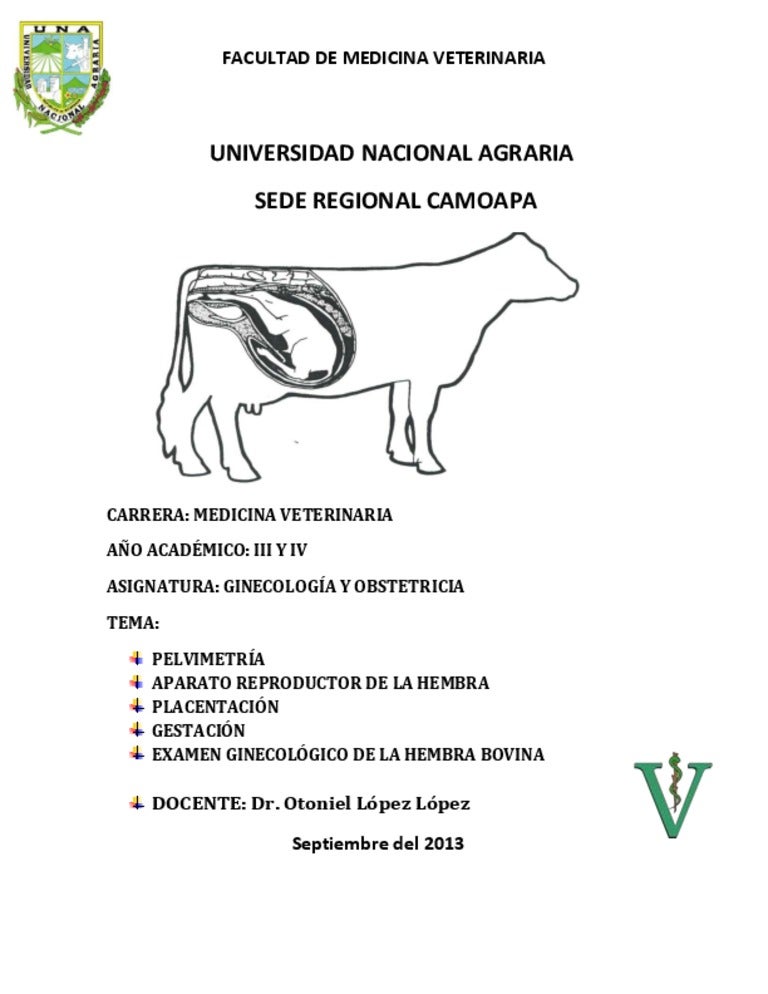 Freemartinismo En Bovinos Pdf
